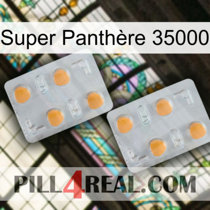Super Panthère 35000 25